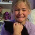 BEST Pet Surprises | 20 Minutes | Cute Puppies and Kittens