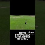 いろんな角度から撮れちゃう！ #HOVERAir  #hoverairx1smart   #ホバーエアー  #お散歩 #ペット