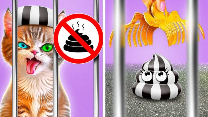 Kitty Escapes the Jail 😼 Best Pet Crafts and Hacks for Pet Owners