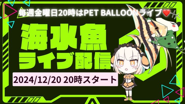 海水魚コーナーライブ配信！！ ペットバルーン (Pet Balloon) | アクアリウム 熱帯魚