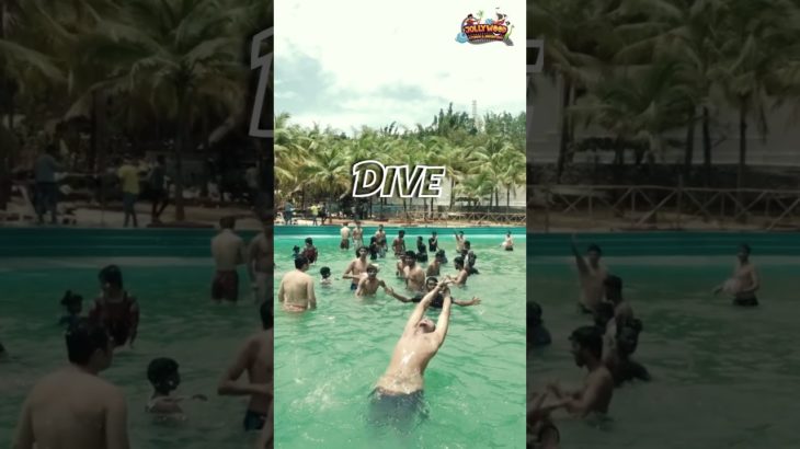 Relax, Play, and Explore the Beauty of Jollywood Beach