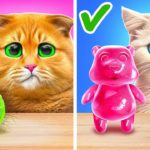 Treat Your Pet Right! Smart Hacks for Pet Owners