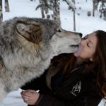 Winter Wonderland Animals | Best Funny & Cute Winter Animal Videos