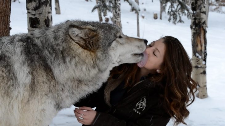 Winter Wonderland Animals | Best Funny & Cute Winter Animal Videos