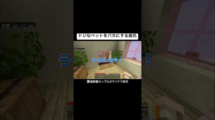 ドジなペットをバカにする彼氏 #カップルゲーム #マインクラフト #カップルch #minecraft #カップルゲーム実況 #ゲーム実況 #マイクラ #かづさゆチャンネル