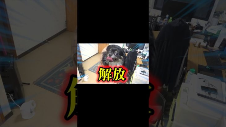 #フィッシャーズ #頭文字d