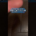 【本音と建前（日常）】#ヘルメットゲッコー#やもり#爬虫類#ペット#helmetgecko#メンヘラ