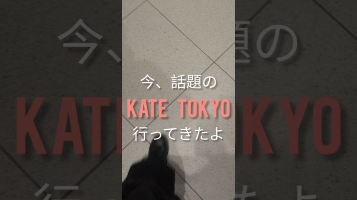 #エンジニアの休日 #メイク #kate #katetokyo