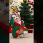 #petdance #ペットタンス #dance #cat #ジャンボリミッキー#jamboremickey #Shorts  #shortsfunny
