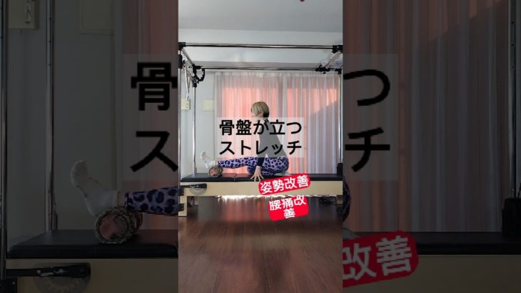 骨盤を立てやすくするストレッチ #pilates #ボディメイク #骨格矯正ピラティス #shorts