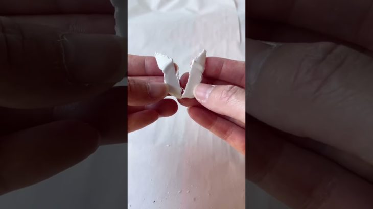 ペットボトルでドラゴンを作る！ #ドラゴン #龍 #竜 #ペットボトル #リサイクル #ペットボトルアート#ペットボトル作品 #sdgs