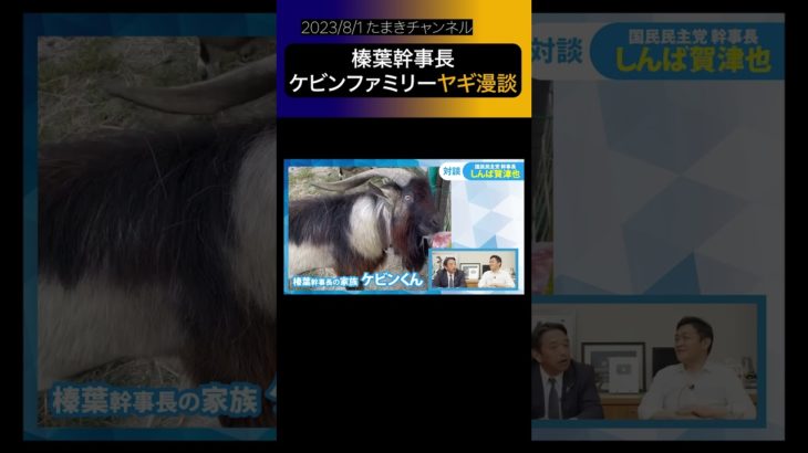 【国民民主党】幹事長のペット・ケビンくんファミリー #shorts