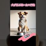 犬が喜ぶ飼い主の行動　#shorts#犬#わんちゃん#dog#ペット#雑学#bgm#ai