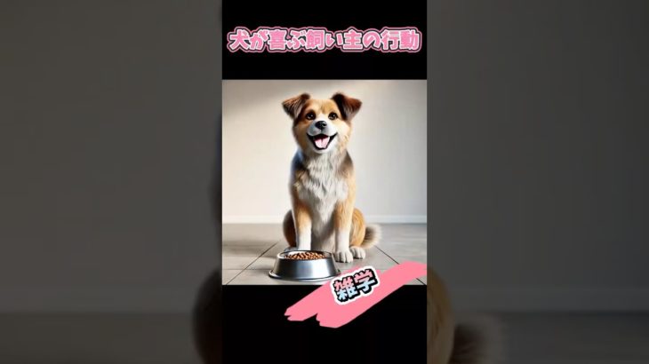 犬が喜ぶ飼い主の行動　#shorts#犬#わんちゃん#dog#ペット#雑学#bgm#ai
