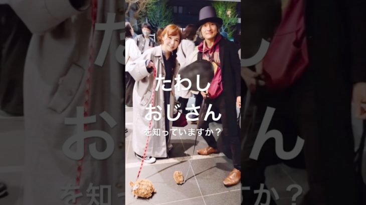 たわしがペットだよ。#たわしおじさん#たわしくん#真島昌利#thebluehearts#ブルーハーツ#rock#日本のロック