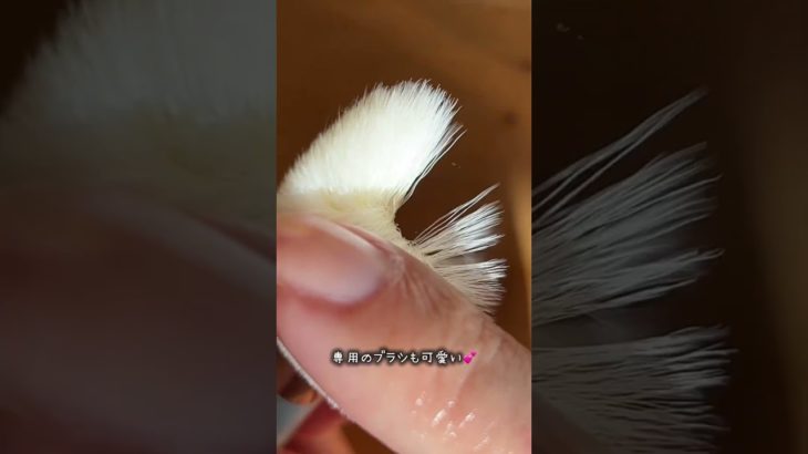 中国コスメって可愛い😍　#メイク #美容