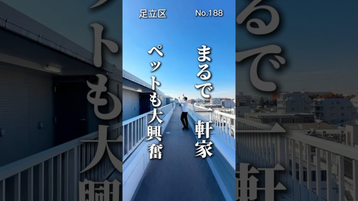 まるで一軒家ドッグラン#ペット可賃貸 #ペット共生マンション #ペット可物件 #東京ペット可賃貸 #ルームツアー #足立区