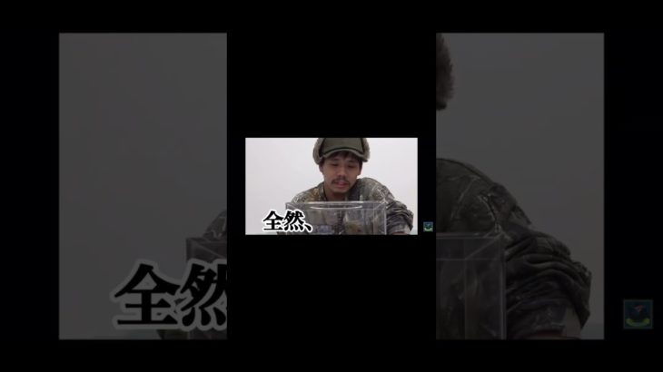 ゴキブリが居る箱に挑戦するザカオ#フィッシャーズ切り抜き #フィッシャーズ #ザカオ #シルクロード #ンダホ