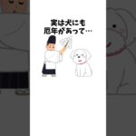 犬にも厄年があるって本当！？　#犬 #ペット #雑学