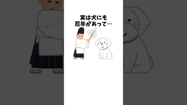 犬にも厄年があるって本当！？　#犬 #ペット #雑学