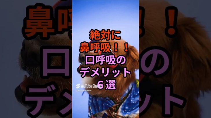 毎日更新！髭犬ダイエット部です１９２回|*･ω･)ﾉチャンネル登録、好評価お願いします！ #髭犬#ダイエット  #雑学 #女性におすすめ#ナイスミドル＃女子高生ダイエット#口呼吸＃鼻呼吸＃呼吸法