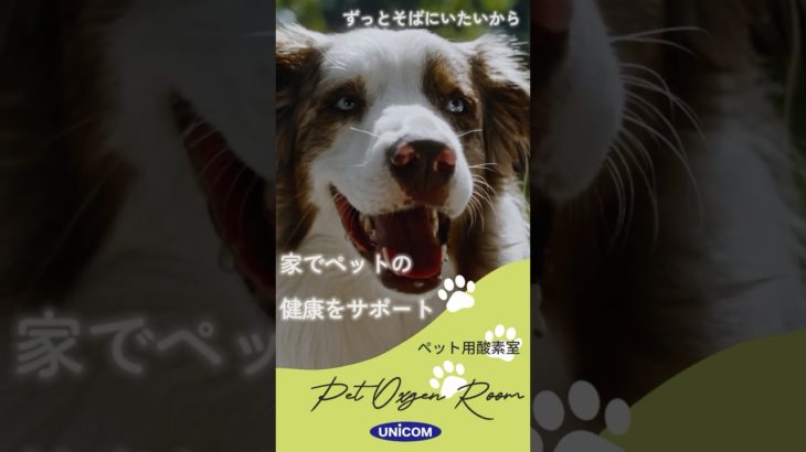 【ペット用酸素室とは？】