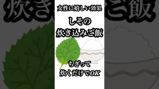 ダイエットや美容に効く？しその炊き込みご飯が女性におすすめ #しそ #健康 #豆知識