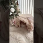 スリコのペットグッズが可愛すぎる件🐱#スリコ購入品 #猫グッズ