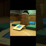 シルクの運動能力がわかる動画 #youtube #youtuber #フィッシャーズ #切り抜き #面白い #運動#フィッシャーズ切り抜き