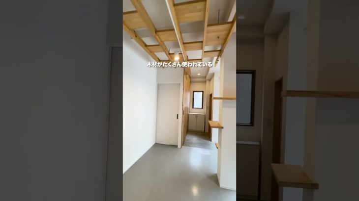 ペットも飼えるリノベ1LDK日当たりよく、木材がたくさん使われていてgoodな雰囲気＃ルームツアー＃東京内見＃上京＃同棲