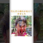 【挑戦】フィッシャーズが24時間鬼ごっこで絆を深めた感動の瞬間！ #shorts #フィッシャーズ