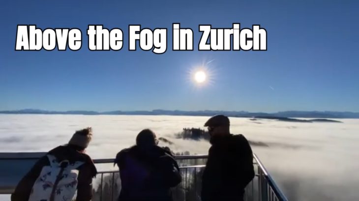 Discover the Unexpected Beauty of Zurich’s Uetliberg Switzerland!
