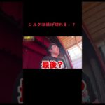 シルクは逃げられる…？ #Fischer’s #切り抜き #フィッシャーズ #フィッシャーズ切り抜き