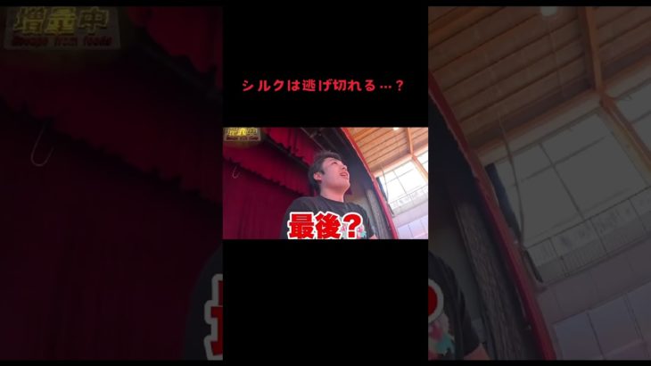 シルクは逃げられる…？ #Fischer’s #切り抜き #フィッシャーズ #フィッシャーズ切り抜き