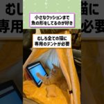 外国人さん「VIP待遇すぎるみんなのペット様の様子を見せていくwww」 #2ch面白いスレ #2chまとめ #なんj #海外の反応 #面白いスレ