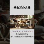 愛犬の耳掃除 #愛犬#愛猫#ペット#ペットロス#ゴールデンレトリバー#ラブラドール#チワワ#パグ#かわいい秘密#大好き#家族#ポメラニアン#柴犬Voice By ondoku3.com