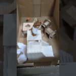 ハム遊び場#ハムスター#ペット#かわいい#cute #애완동물#宠物#Pets#hamster#햄스터#癒し#犬#猫#キッズ#子供 #ポケモン#ポケカ#Pokemon#Kids#asmr