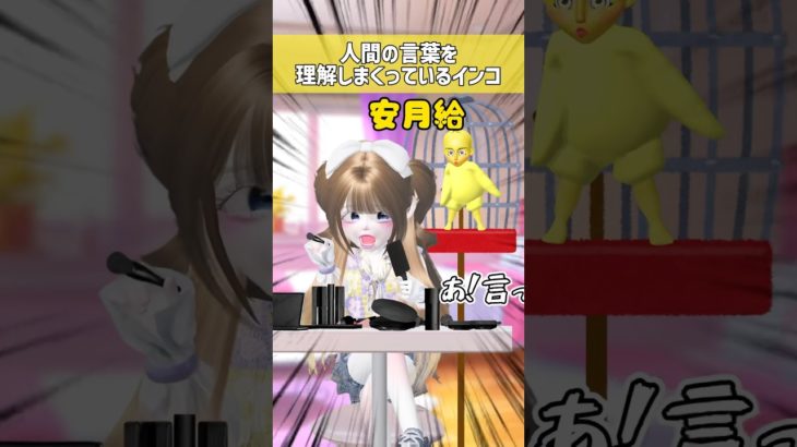 ピヨ…🐥【#ゼペット】音源【kasaimiku_hirata】#インコ #おもしろ動画 #言葉 #ペット #あるある #zepeto #shorts