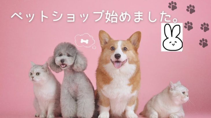 【pet shop】ペットショップ始めました