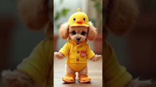 ペットダンス#petdance