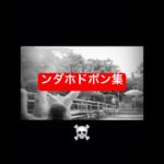 おもしろドボン集#phonk #おもしろ ＃フィッシャーズ