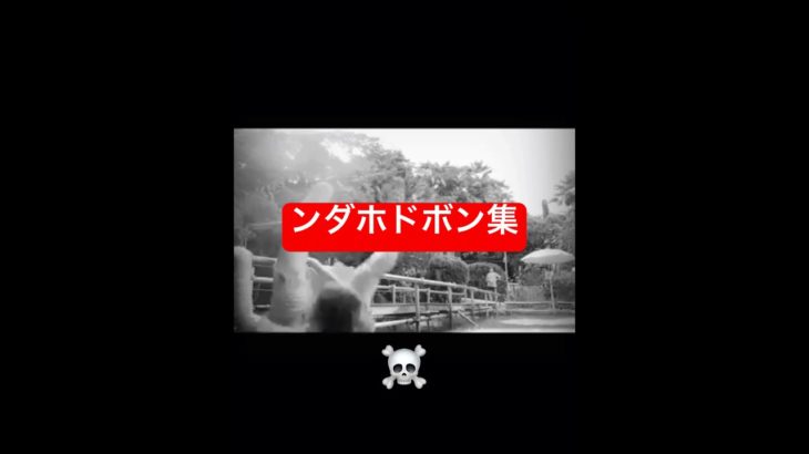 おもしろドボン集#phonk #おもしろ ＃フィッシャーズ