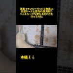 ペットシーツを使える！ファンシーラット用のすのこの作り方 #short