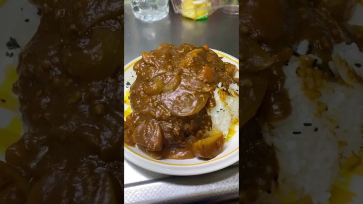 底辺飯。横浜舶来亭のカレーとペットボトルの湯たんぽ。#shorts #カレー #カレーライス