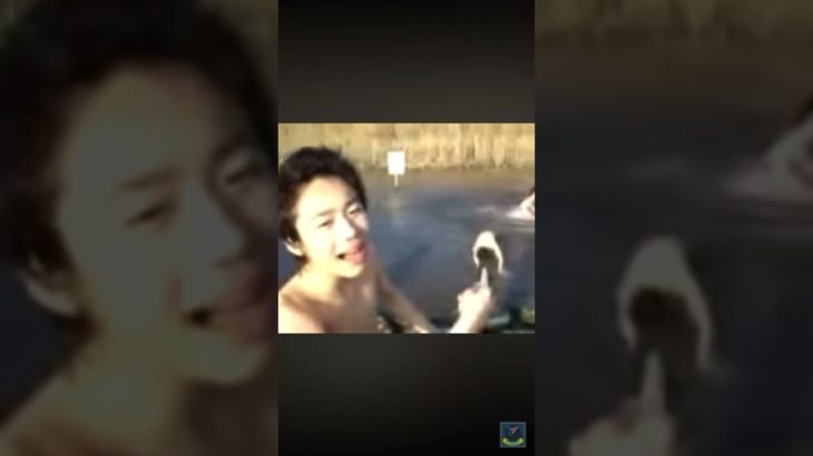 #フィッシャーズ #フィッシャーズ切り抜き #ぺけたん#ダイブー#shorts