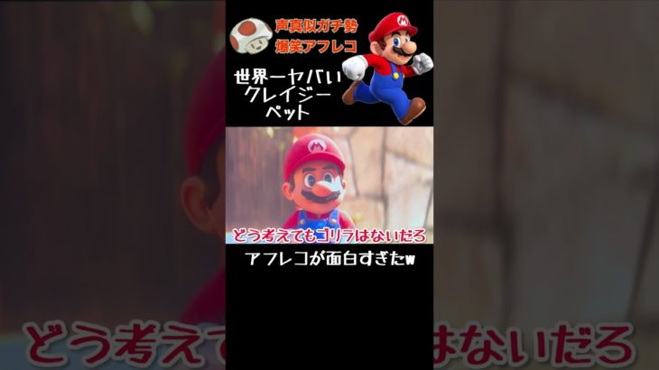世界一ヤバいペットマリオ映画爆笑アフレコ #アフレコ #モノマネ #声真似 #マリオ #shorts