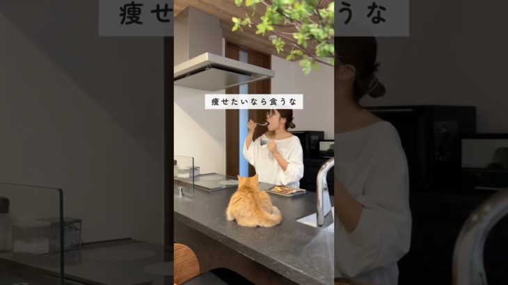 我慢しないダイエット#ダイエット #産後太り解消 #産後太り #産後ダイエット #shorts