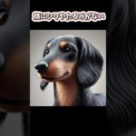 臭くない犬種　#shorts#犬#わんちゃん#dog#ペット#雑学#bgm#ai