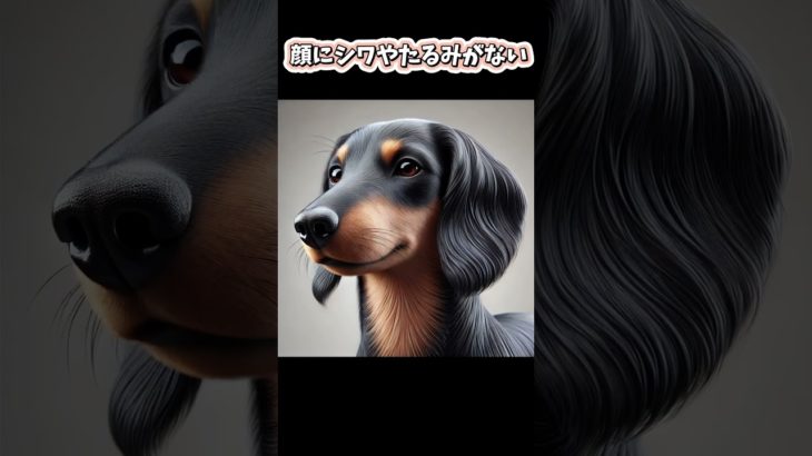 臭くない犬種　#shorts#犬#わんちゃん#dog#ペット#雑学#bgm#ai