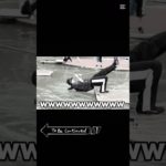 フィッシャーズ　to be continued